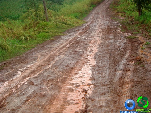 DSC04726.jpg