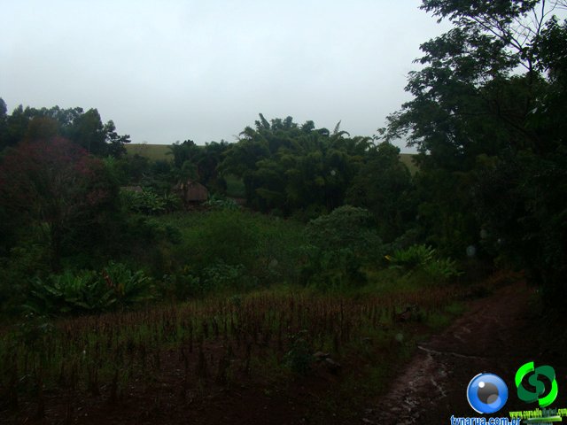 DSC04748.jpg