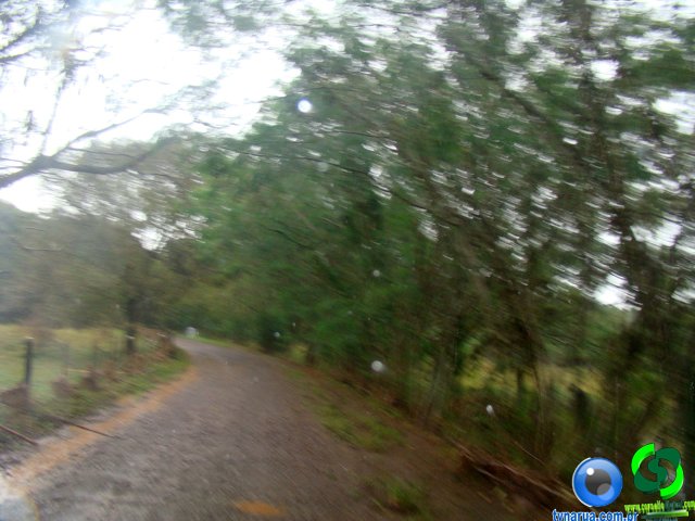 DSC04765.jpg
