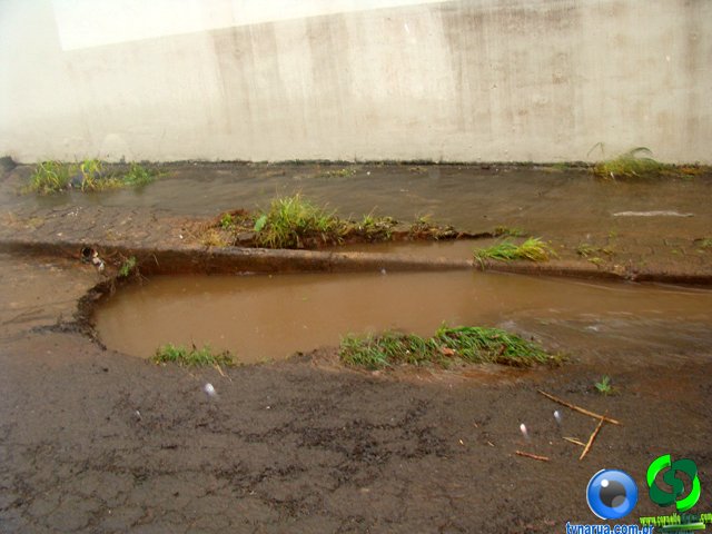 DSC04769.jpg