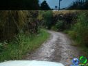 DSC04574.jpg