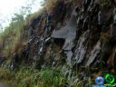 DSC04575.jpg