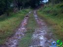 DSC04591.jpg