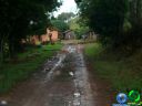 DSC04597.jpg