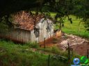 DSC04616.jpg