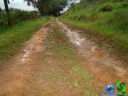 DSC04617.jpg