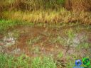 DSC04631.jpg