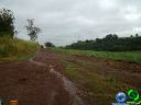 DSC04632.jpg