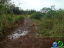 DSC04649.jpg