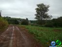 DSC04654.jpg