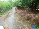 DSC04656.jpg