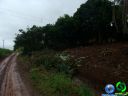 DSC04678.jpg