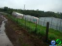 DSC04689.jpg