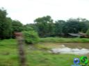 DSC04692.jpg