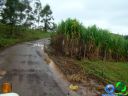 DSC04694.jpg