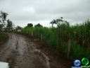 DSC04695.jpg