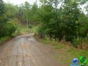 DSC04700.jpg