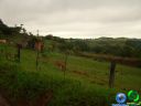 DSC04701.jpg