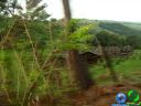 DSC04702.jpg