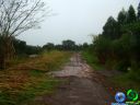 Filename=DSC04750.jpg
Filesize=60KiB
Dimensions=640x480
Date added=Jun 22, 2012 DSC04750.jpg