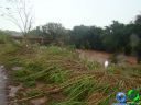 Filename=DSC04751.jpg
Filesize=92KiB
Dimensions=640x480
Date added=Jun 22, 2012 DSC04751.jpg