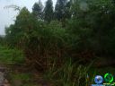 DSC04755.jpg