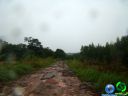 Filename=DSC04757.jpg
Filesize=48KiB
Dimensions=640x480
Date added=Jun 22, 2012 DSC04757.jpg