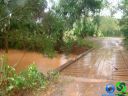 DSC04762.jpg