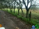 DSC04763.jpg