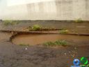 DSC04769.jpg
