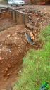 DSC04543.jpg