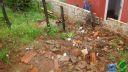 DSC04546.jpg