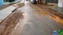 DSC04561.jpg