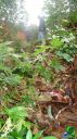 DSC04567.jpg