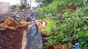 DSC04572.jpg