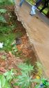 DSC04581.jpg