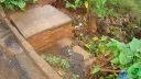 DSC04584.jpg