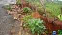 DSC04585.jpg