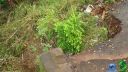DSC04593.jpg