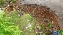 DSC04595.jpg