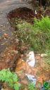 DSC04596.jpg