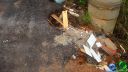 DSC04599.jpg