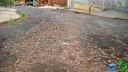 DSC04601.jpg