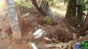 DSC04623.jpg