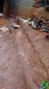DSC04628.jpg