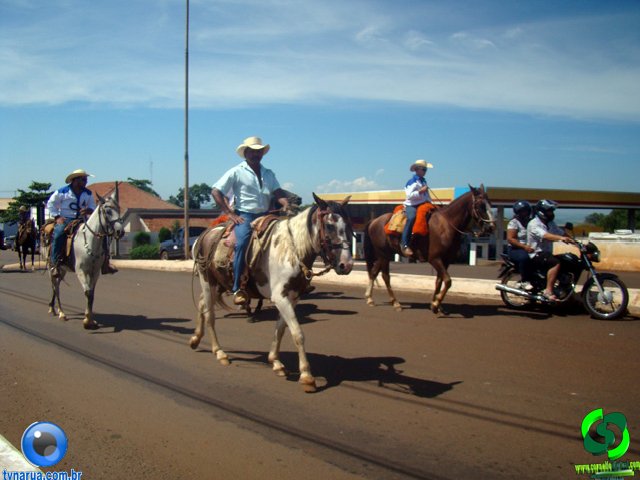 DSC00947.jpg
