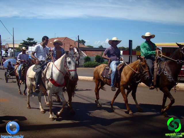 DSC00989.jpg