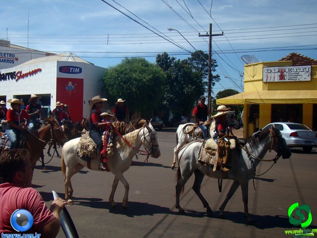 DSC01013.jpg