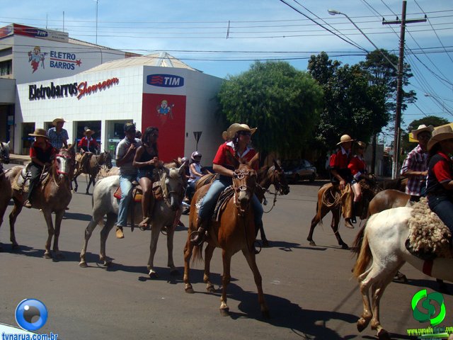 DSC01014.jpg