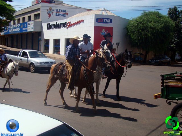 DSC01082.jpg